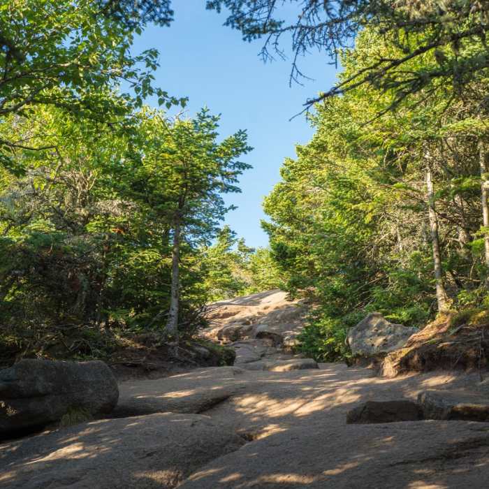 Near Cascade + Porter Mountains Near Cascade + Porter Mountains