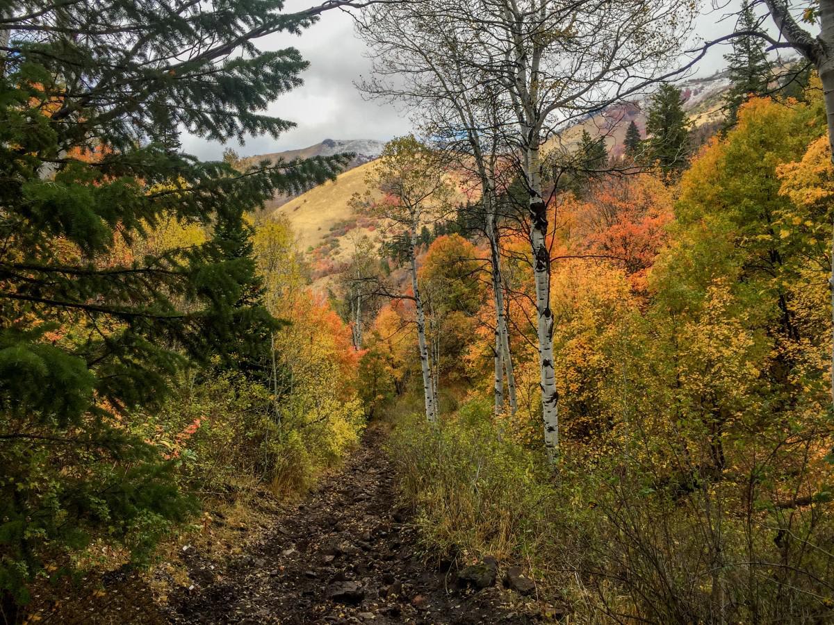 Mount Logan Millville Canyon photo 3