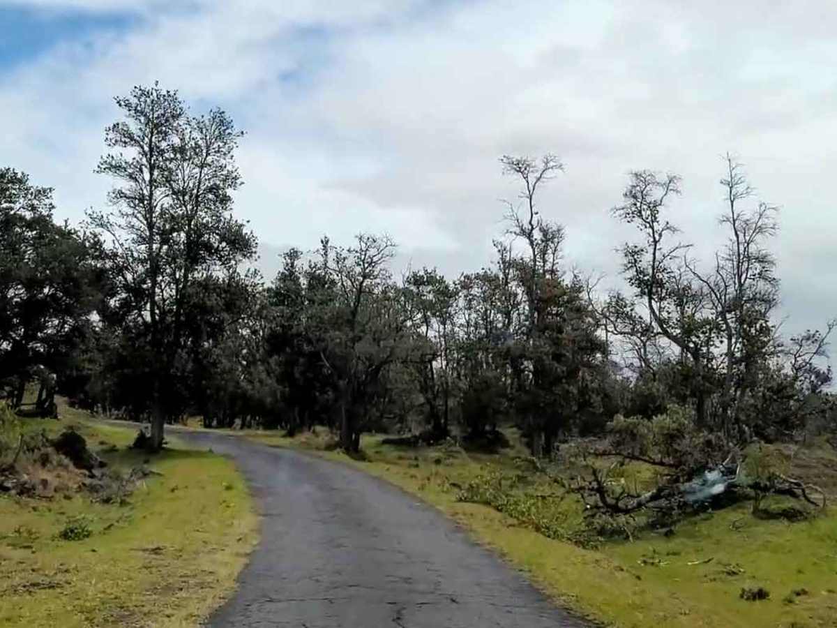 Ainapo Road photo 4