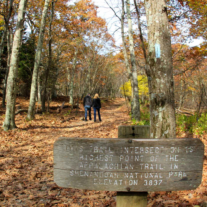 Near AT/Passamaquoddy/Furnace Springs Loop