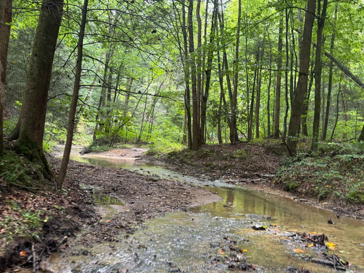 Little Buckhorn Creek Trail trail photo