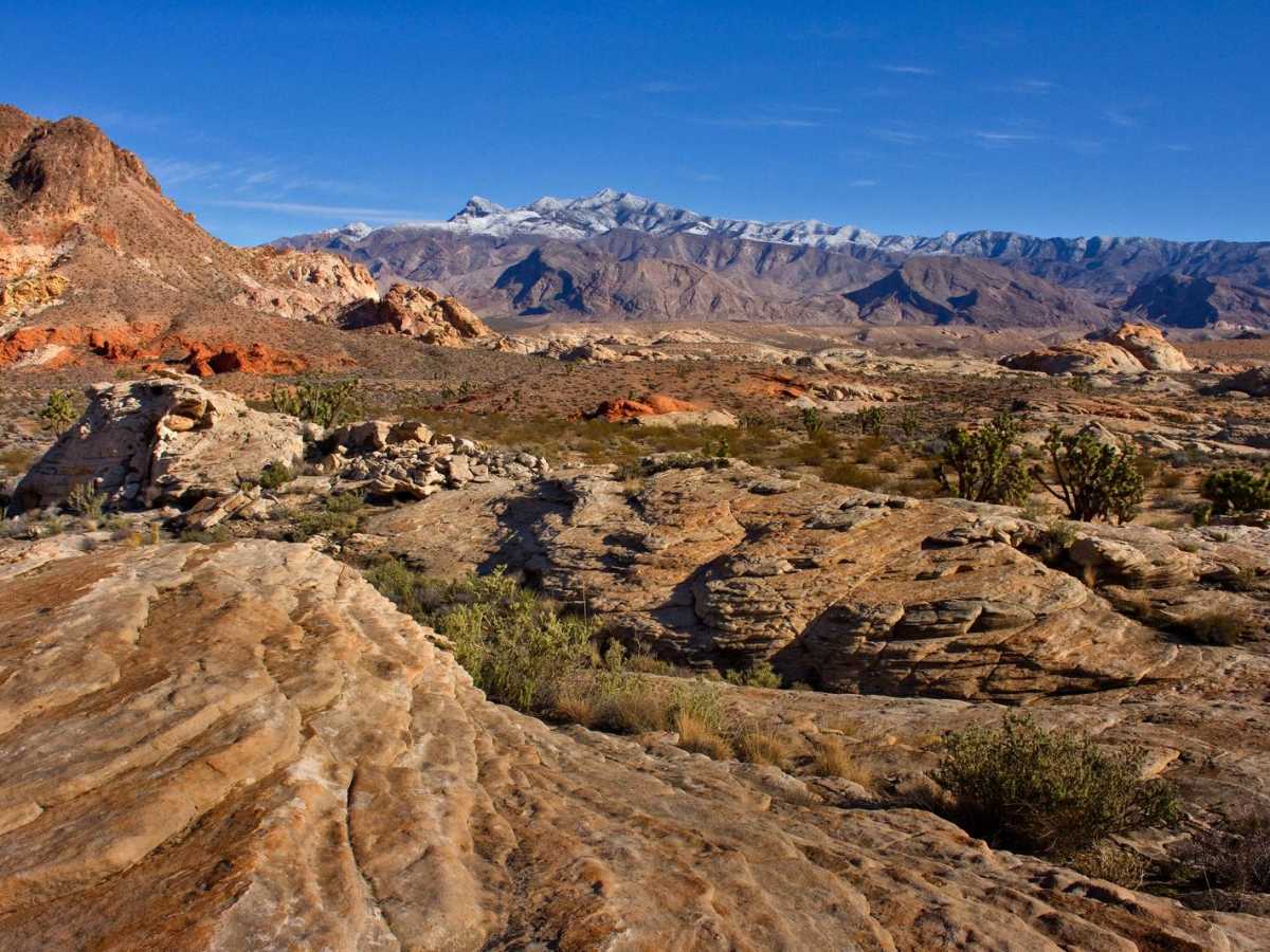 Gold Butte to Little Finland photo 2