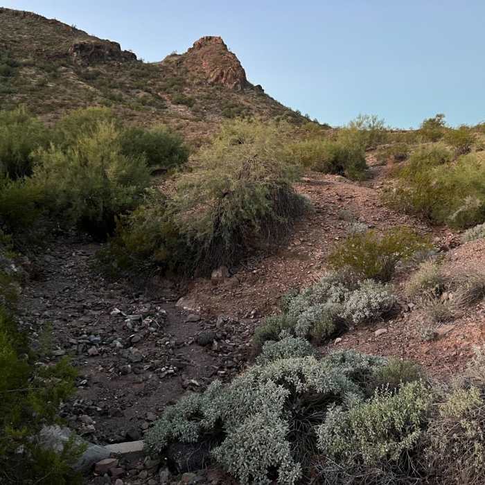Near Lookout Mountain