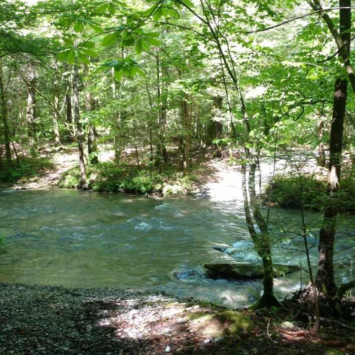 The crossing at No Business Creek from the Longfield Branch trail. Near Longfield Branch Trail
