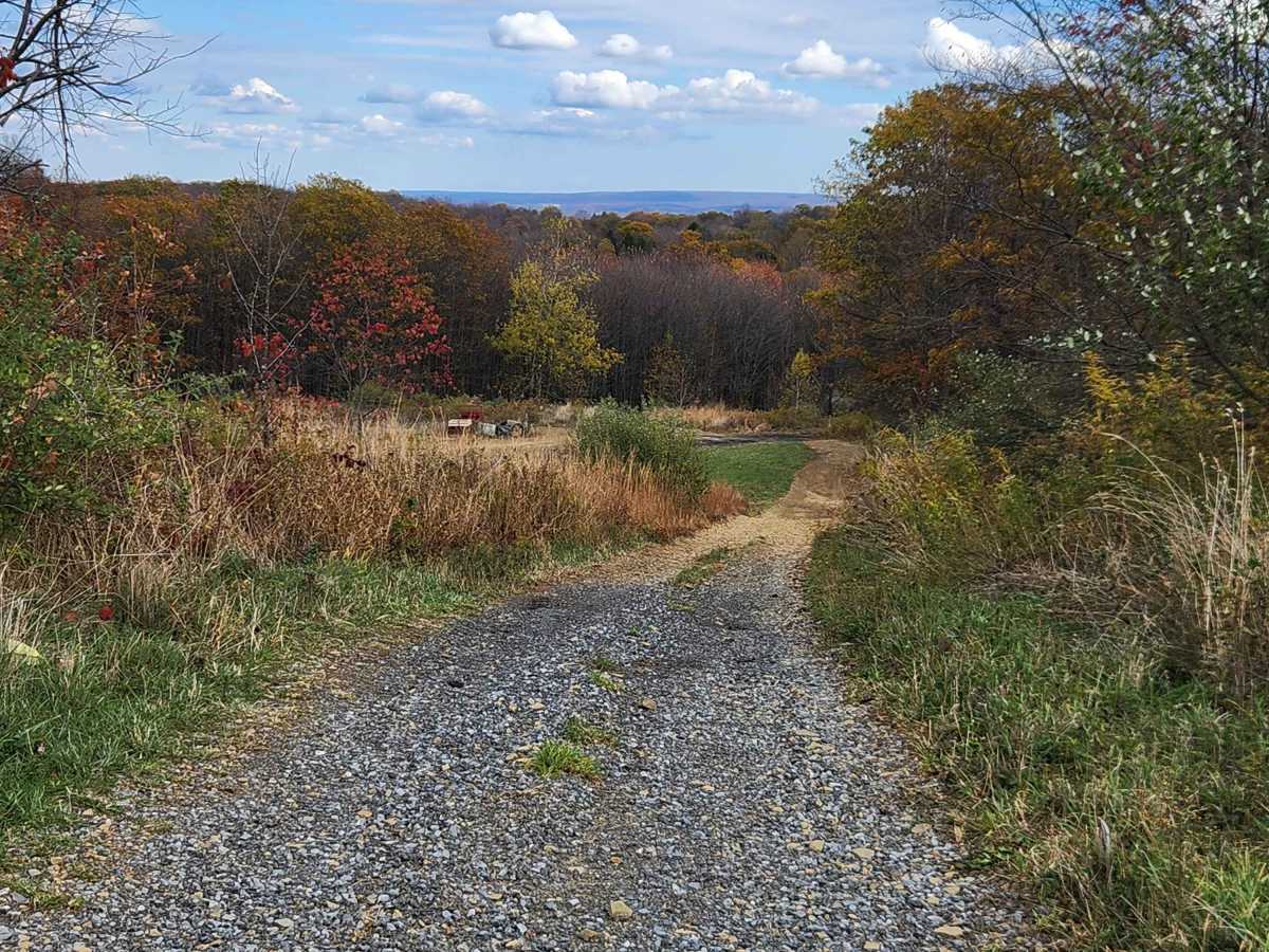 Outer Loop East - Rock Run Recreation Area photo 5
