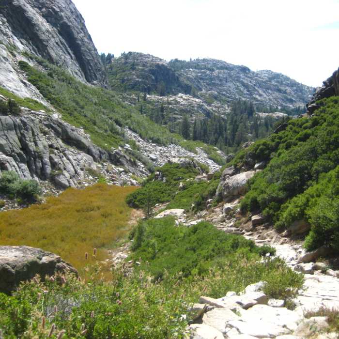 Near Bell Meadow Trail