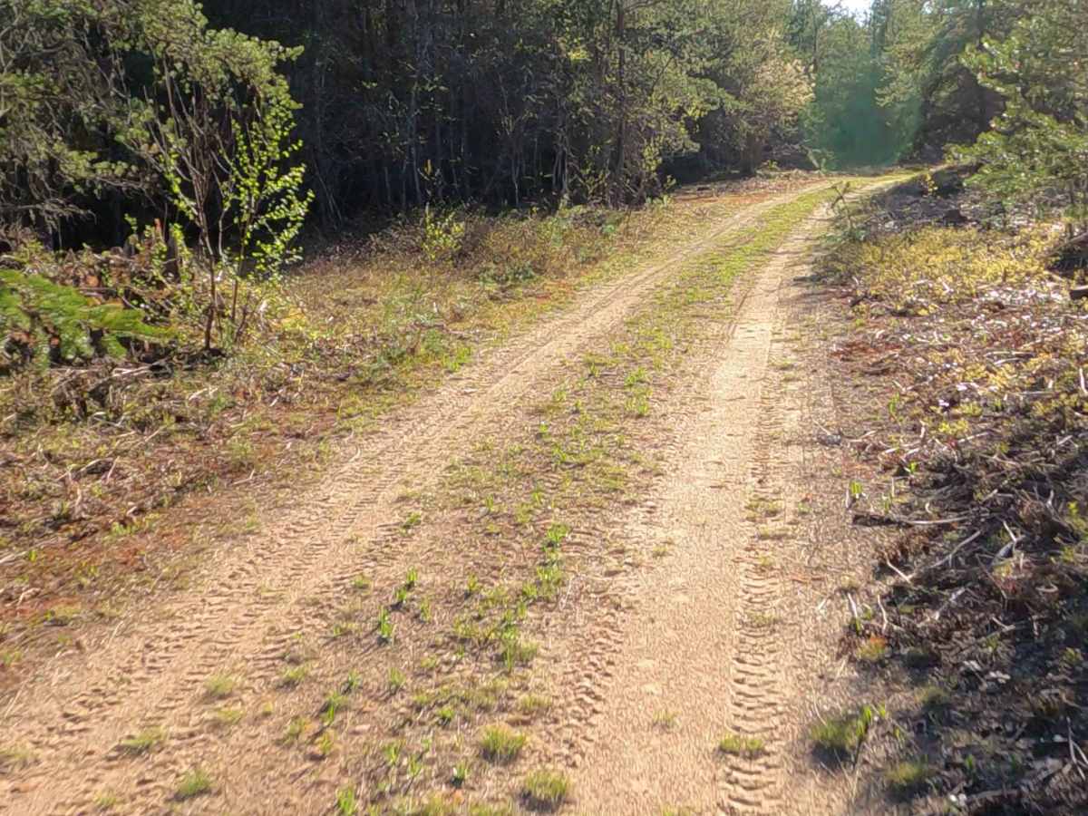 West Harvey Road trail photo