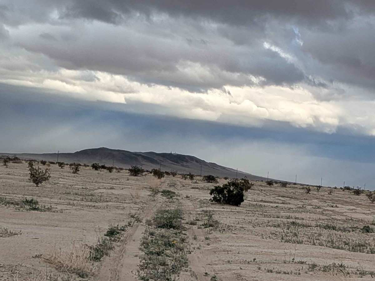 BLM 198 trail photo