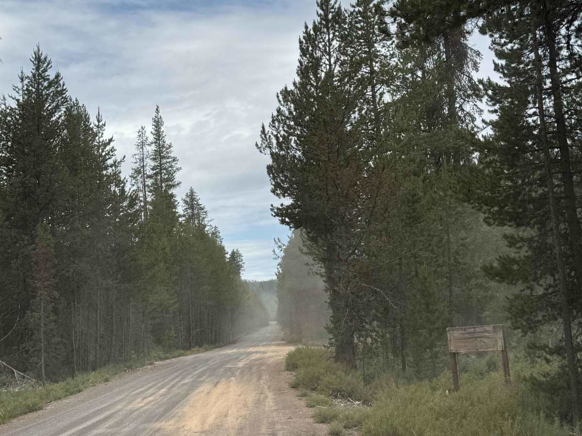 Corral Springs Road - FS 9774 trail photo
