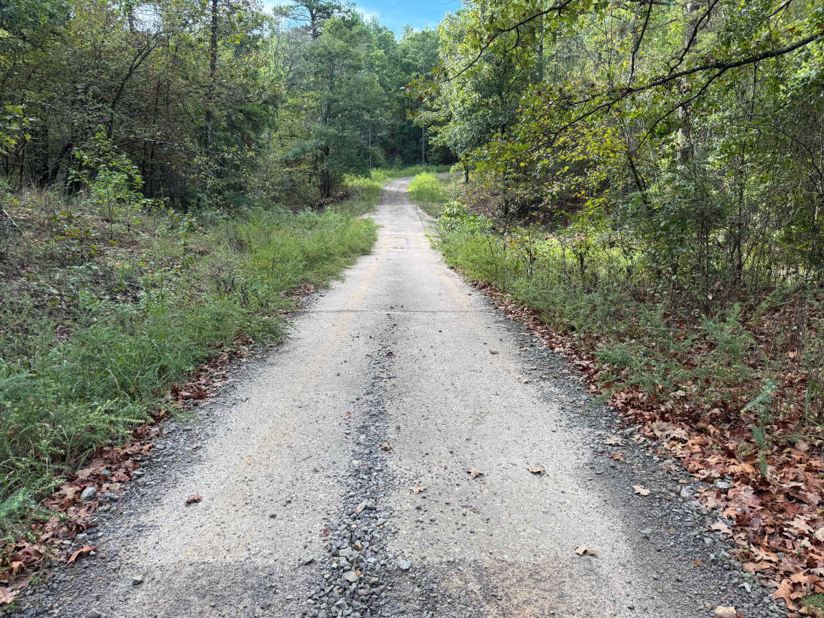 Hunter Branch photo 2