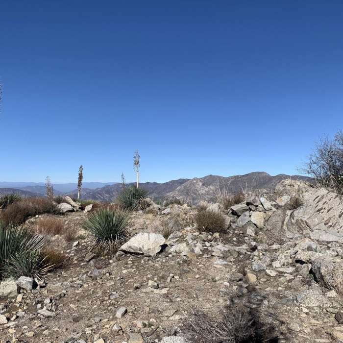 Near Hoyt Mountain Road: West Ridge Loop
