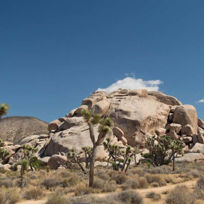 Near Cap Rock Nature Trail