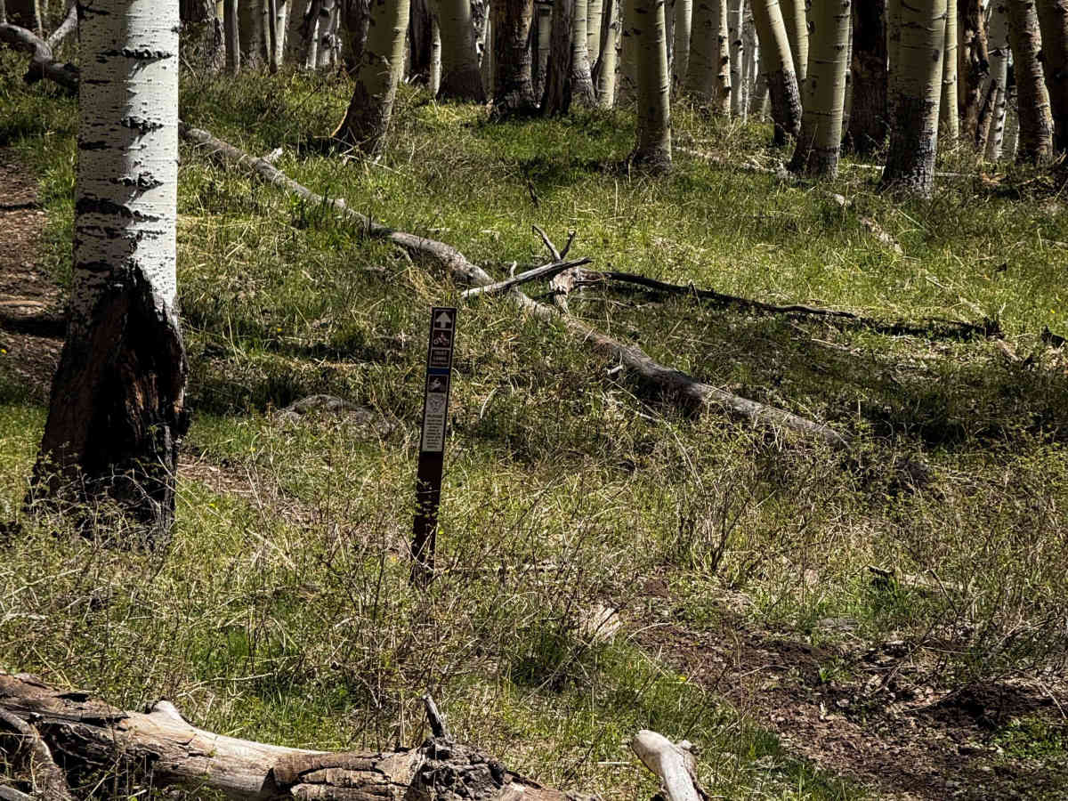 Trust Lands Singletrack  photo 2