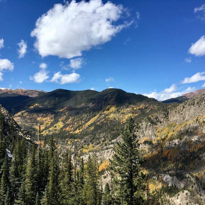 View from the summit Near Mount Royal