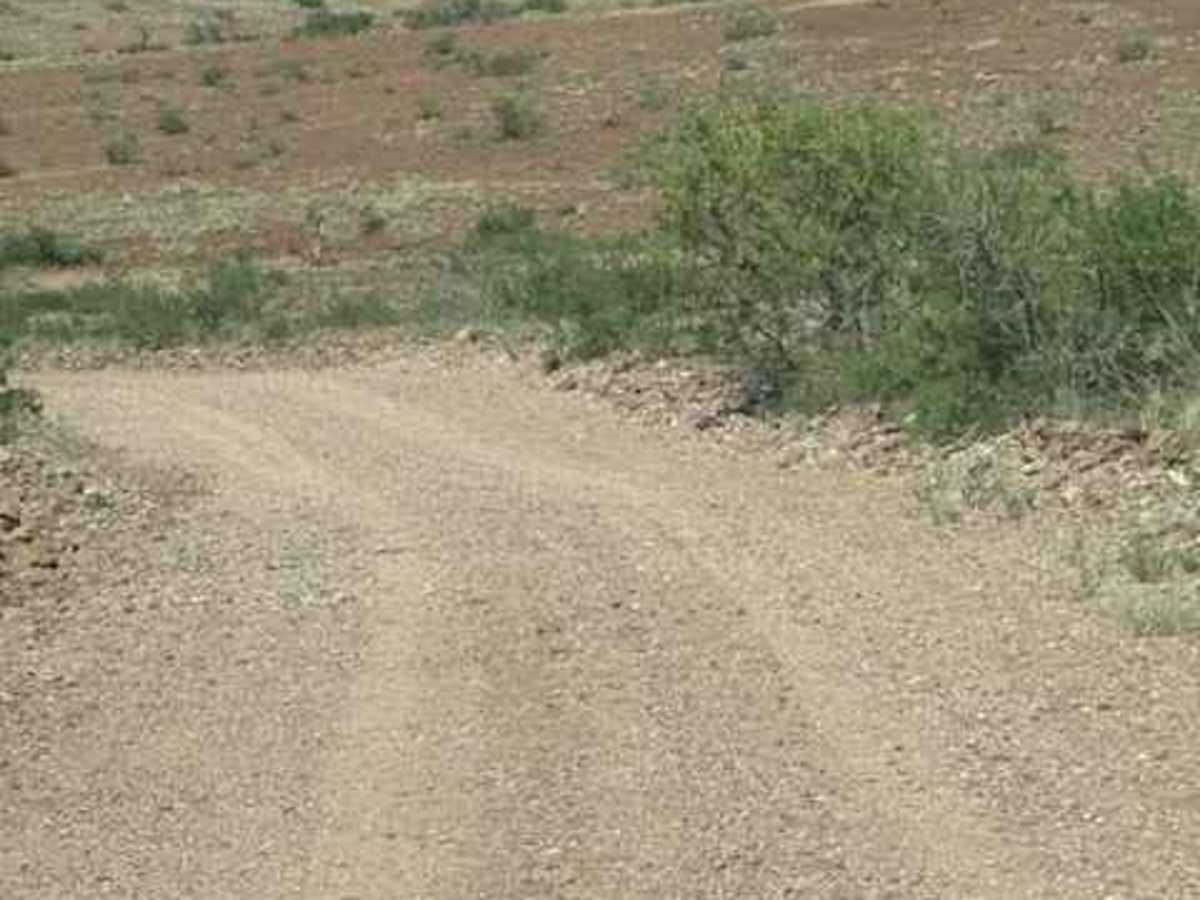 BLM SS1041 photo 4