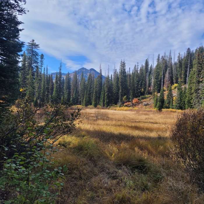 The Marsh in Fall. Near Cold Lakes Trail #121