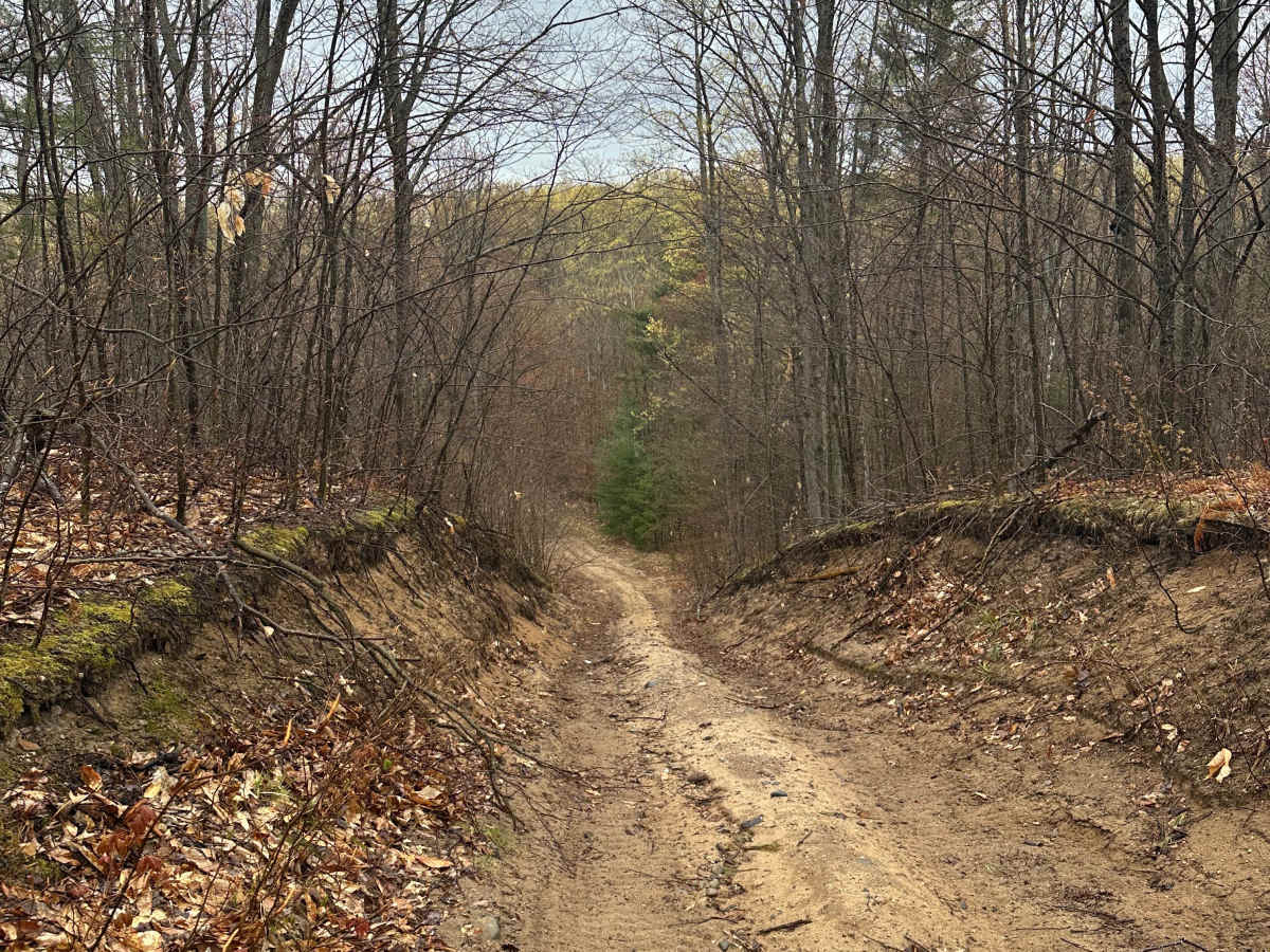 Hayesego Loop Around  photo 4