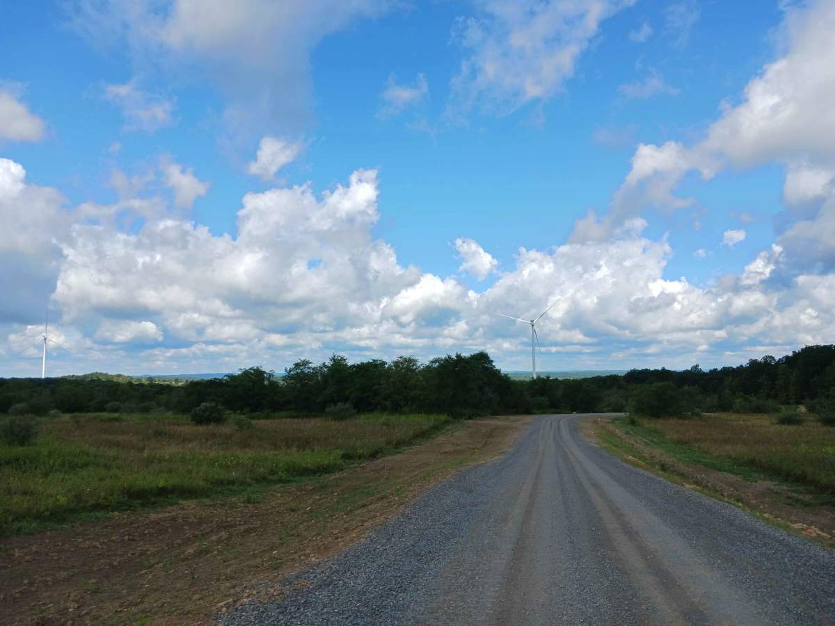 Raptor Path Road - Rock Run Recreation Area photo 2