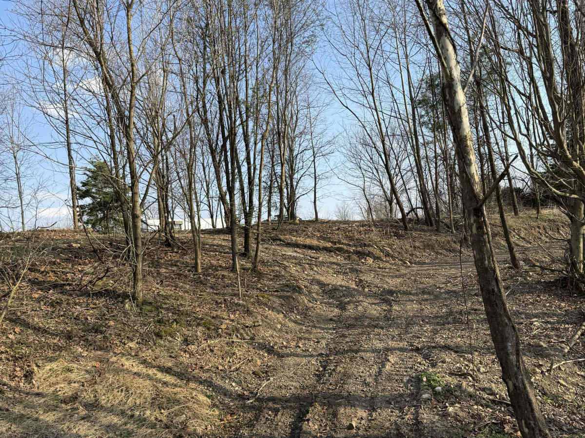 Q21 trail photo