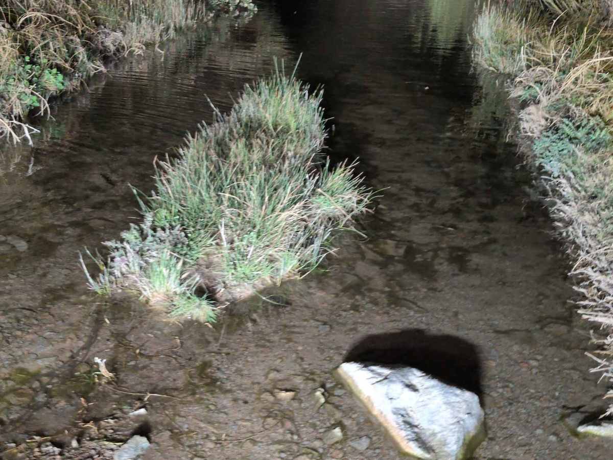 Sand Canyon Road - BLM SE117 photo 2