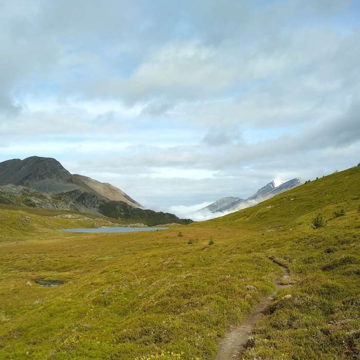 Approaching Maligne Pass from the south. There is a small lake at the pass. Mount Mary Vaux is in the distance (center right) behind the grassy knoll. Near Maligne Pass Trail