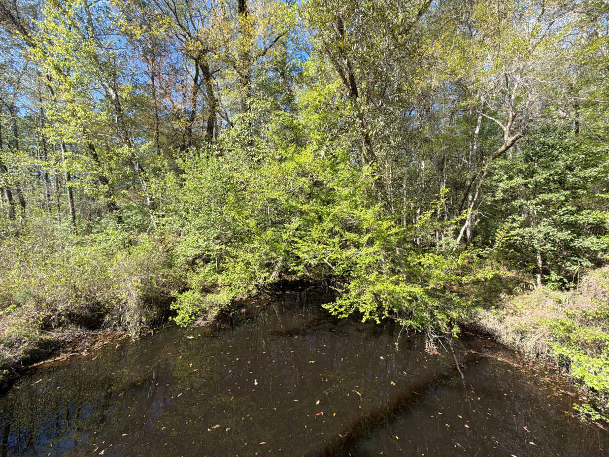 Mattie Kennedy Road photo 6
