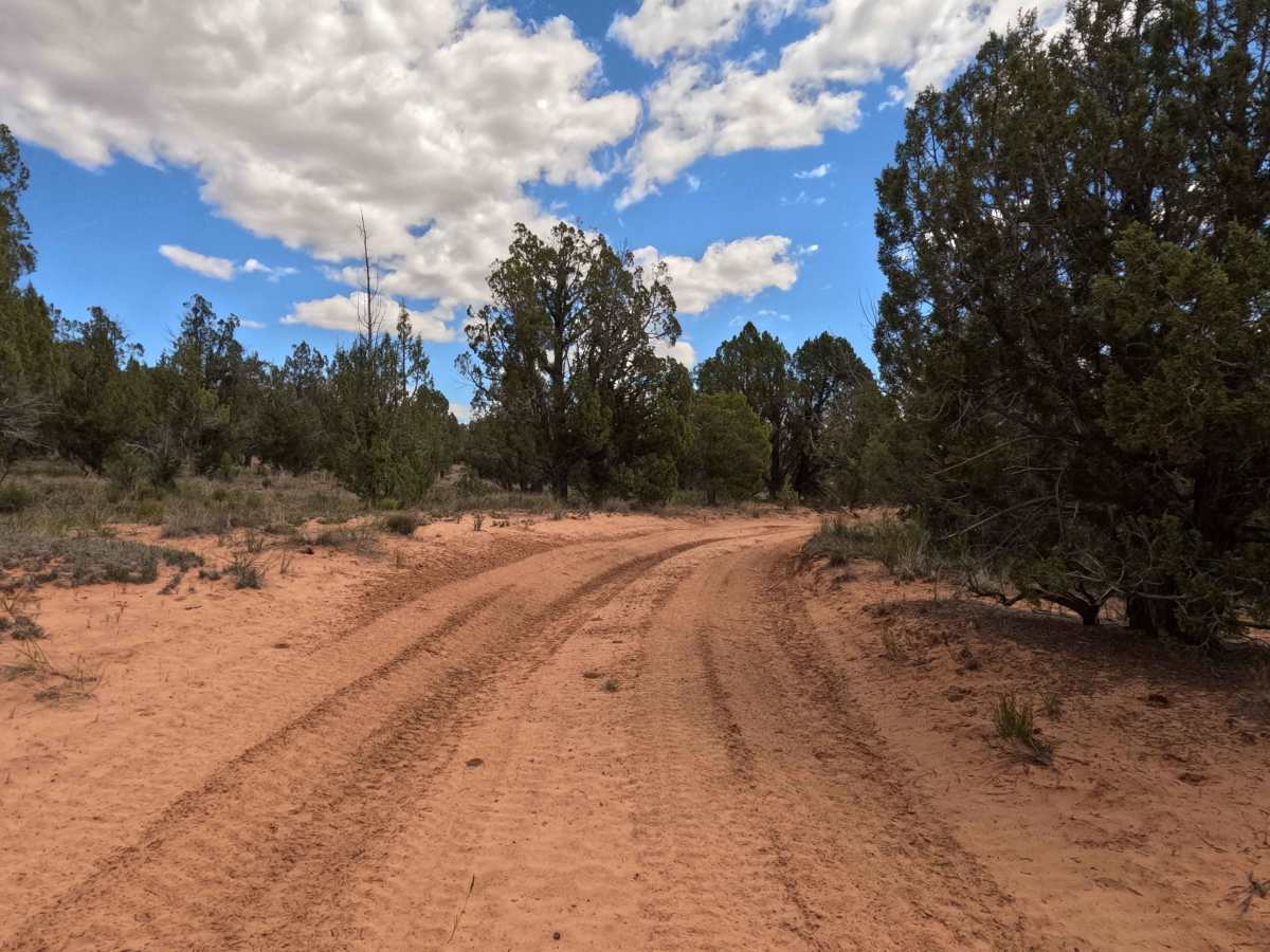 BLM 101 photo 5