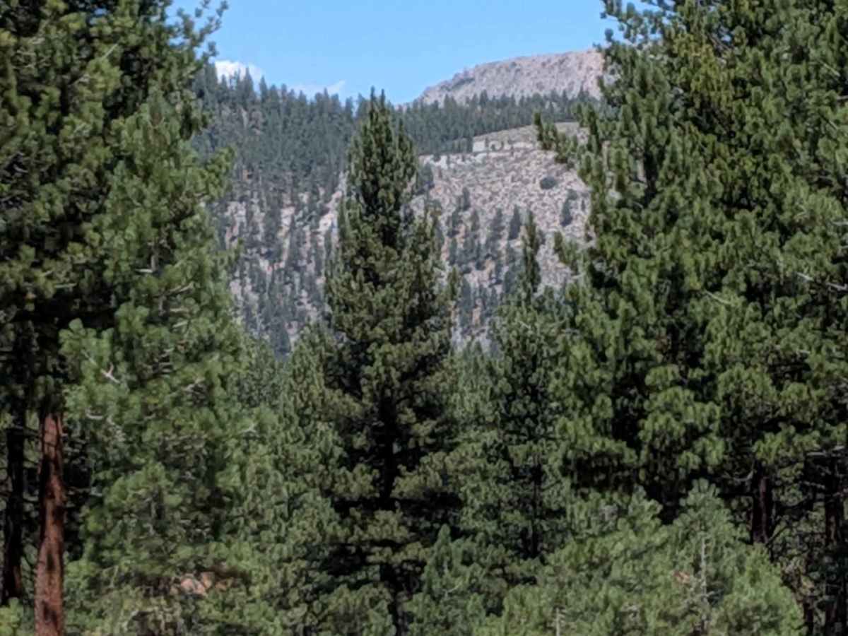 Forest Service Road 2S129 photo 2