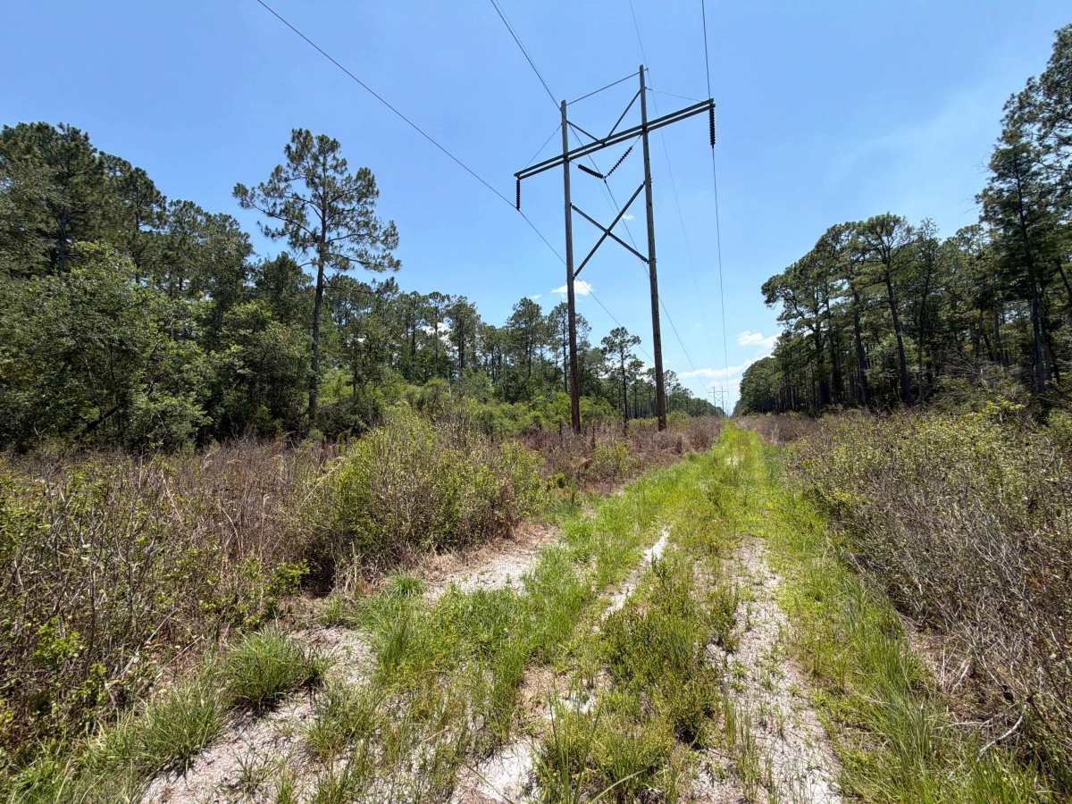 Powerline - FS 365J photo 2