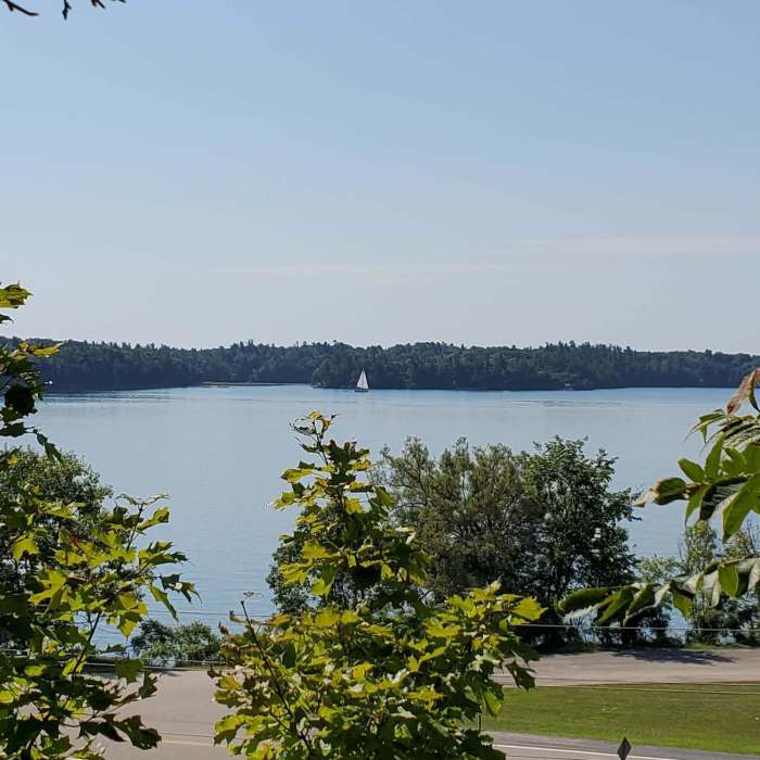 Near Landon Bay Loop