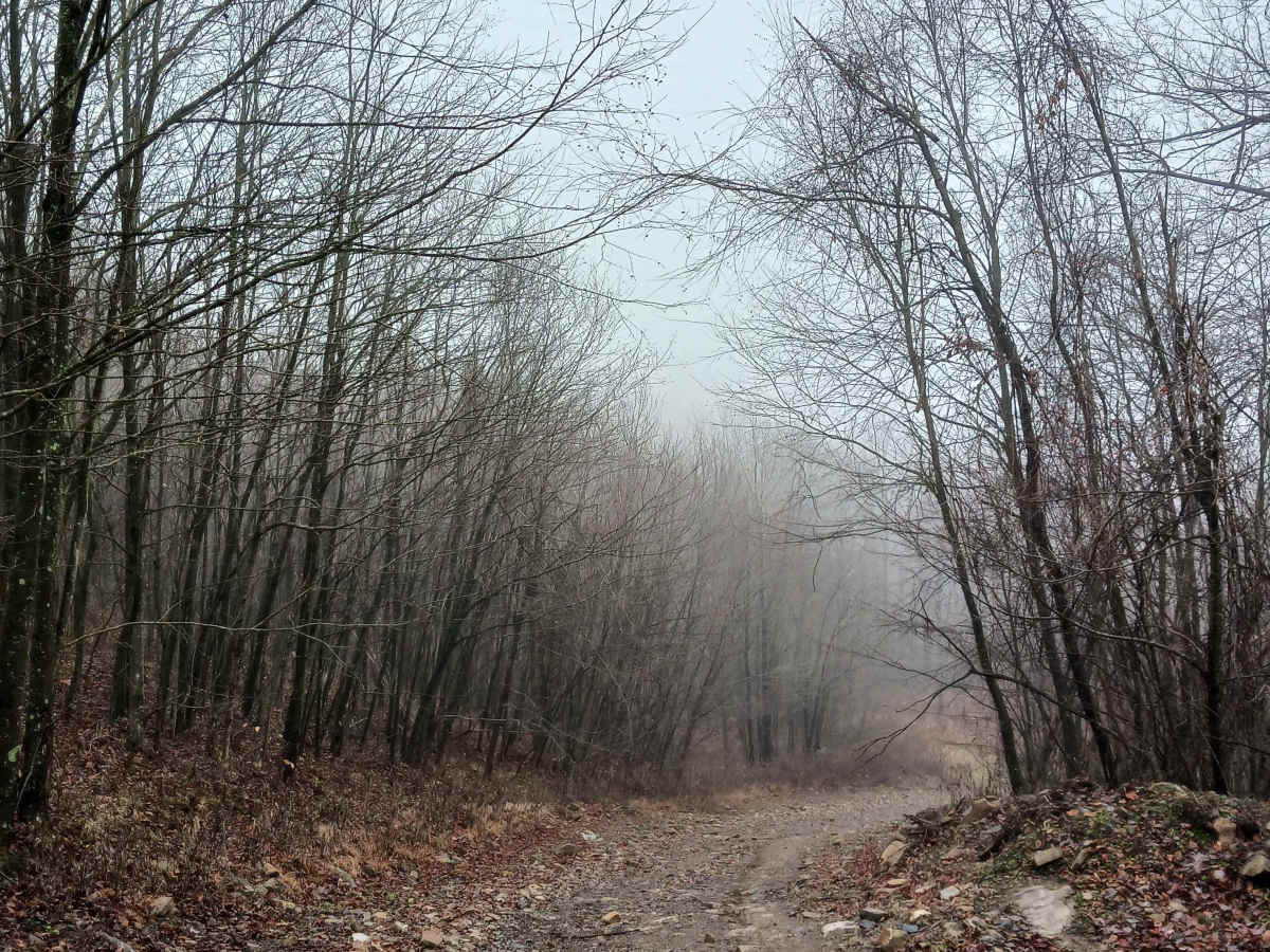 Between Rock - Rock Run Recreation Area photo 3