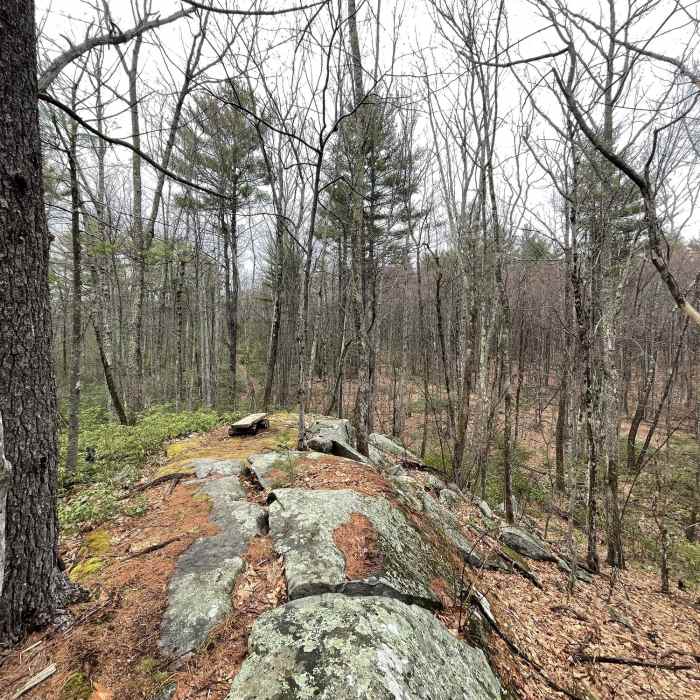 Near Hidden Ponds Trail