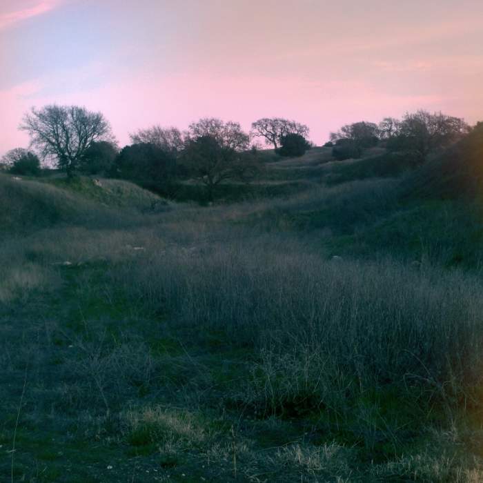 Near Ohlone-Crystyl Ranch Loop