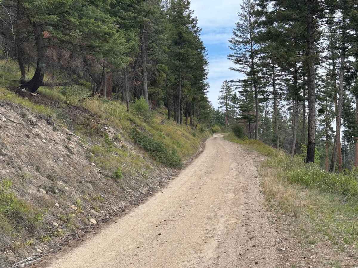 Upper Pierce Creek photo 5