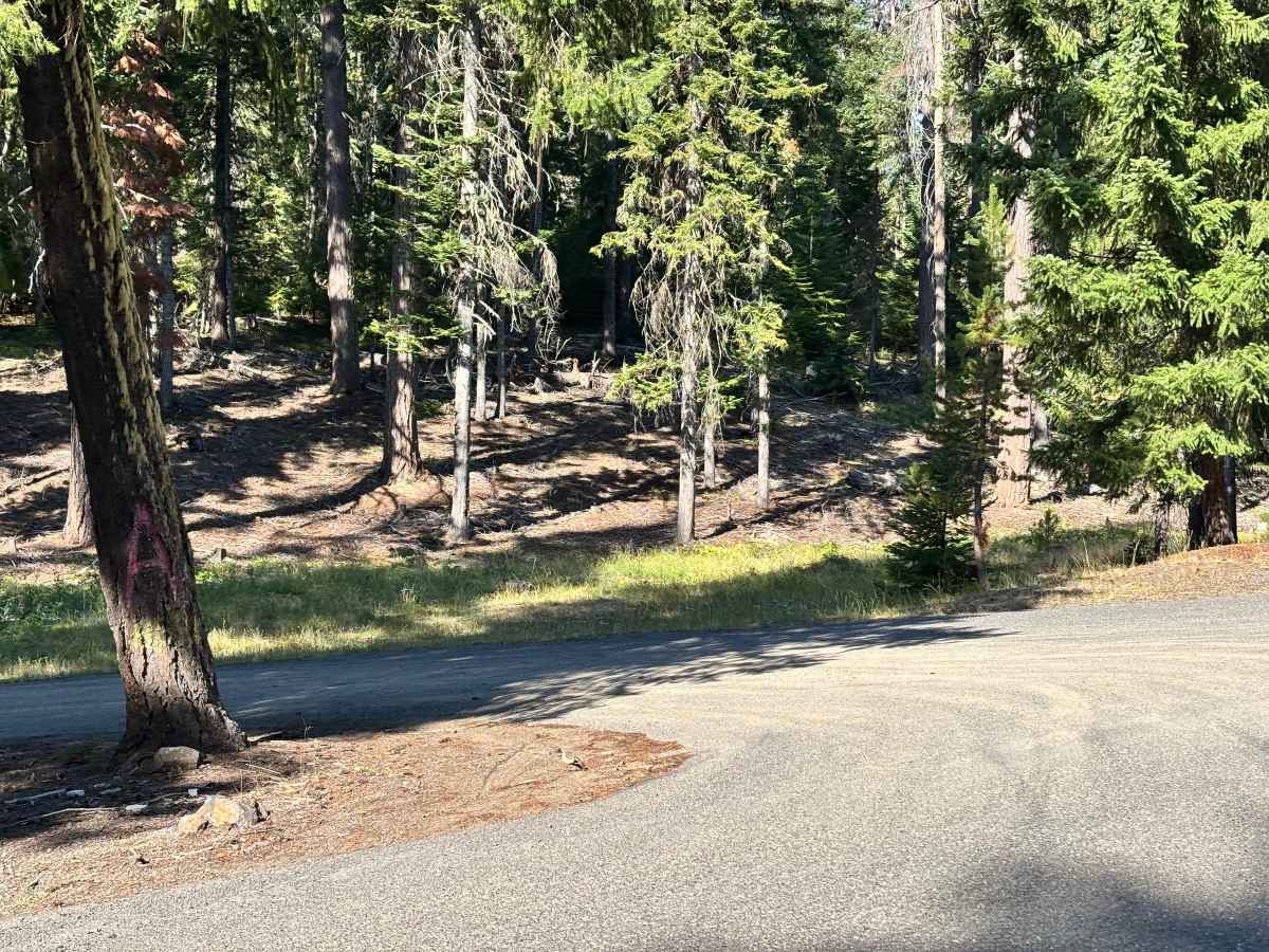 Rocky Acres photo 6