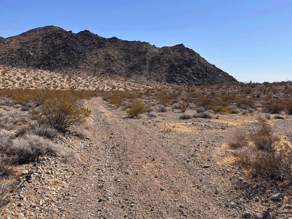 Ash CrackTrail trail photo