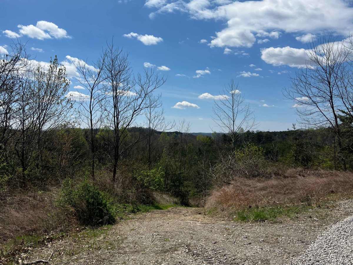 Q10A trail photo