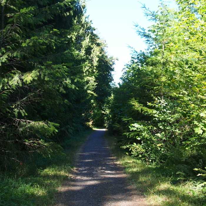 Near Crown Zellerbach Trail