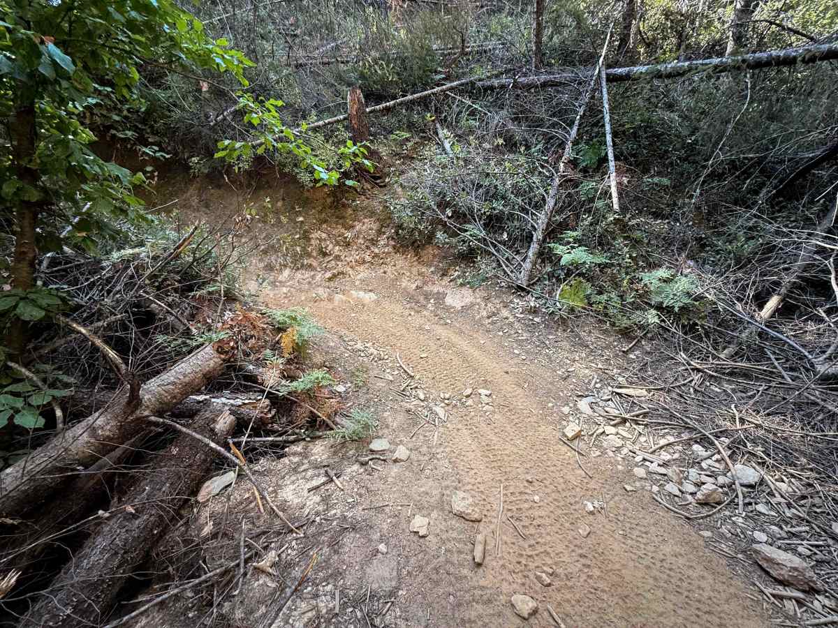 Trail 3-1 ATV (11E16)  photo 5