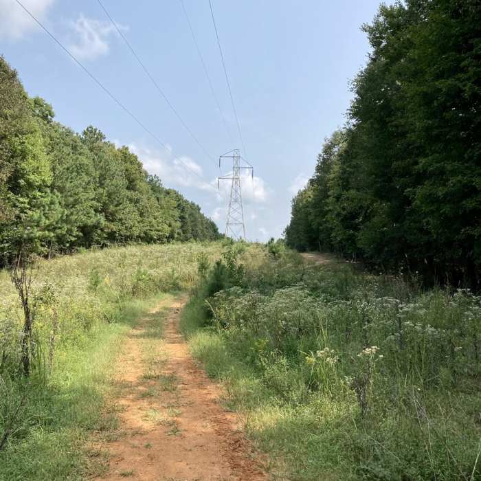 Near Perimeter Trail Near Perimeter Trail