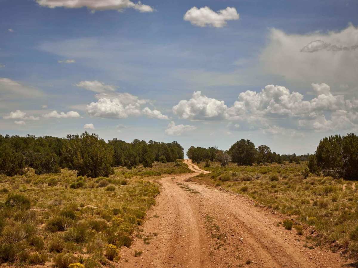 Old 301 Road (Southern Section) photo 5