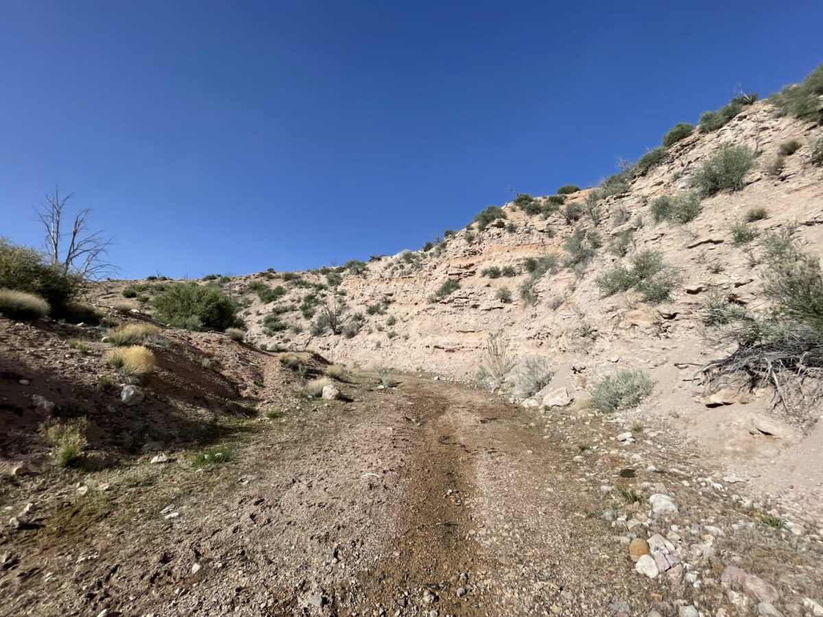 Up & Out Of Oak Patch Wash photo 3