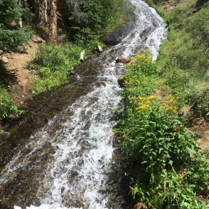 Rex Falls Near Rex Falls Trail