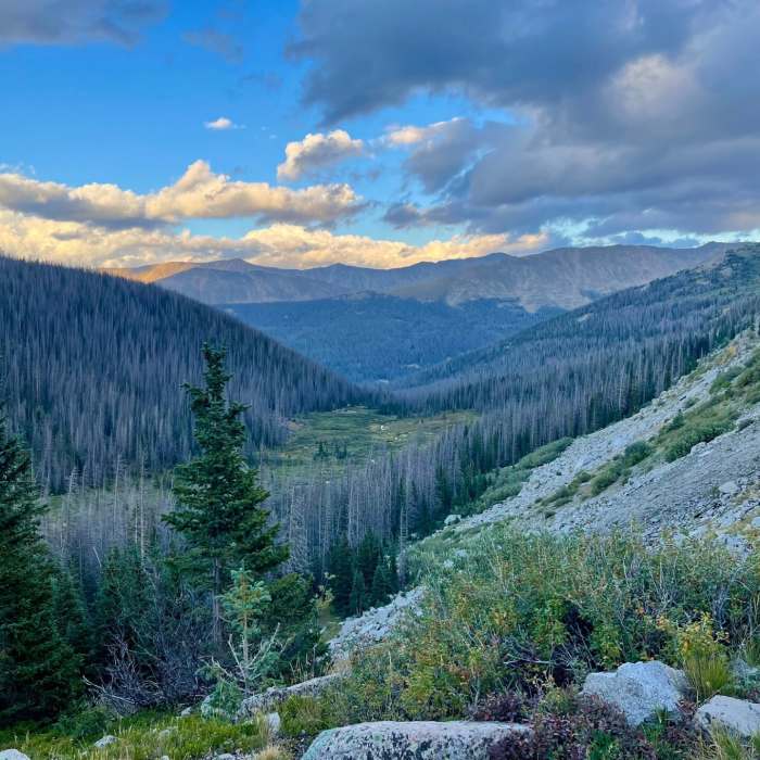 Near CDT: Hancock to Tincup Pass Road (CO Sec. 20) Near CDT: Hancock to Tincup Pass Road (CO Sec. 20)
