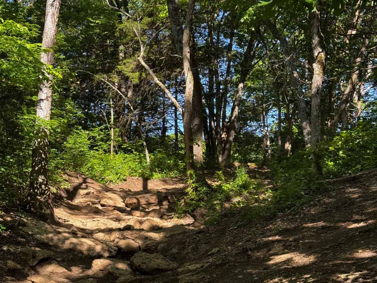 Inner Trail 13 photo 2