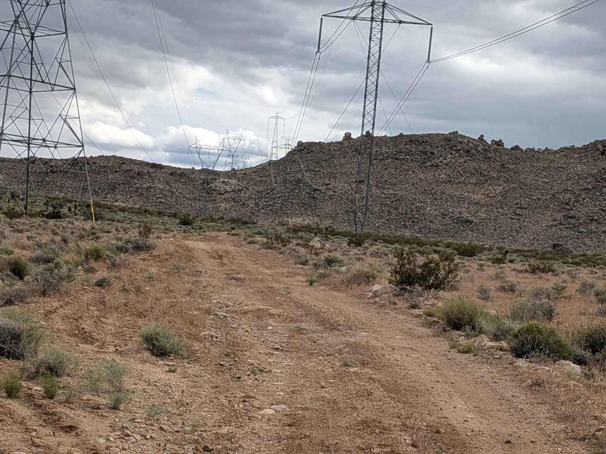 BLM SE741a photo 2