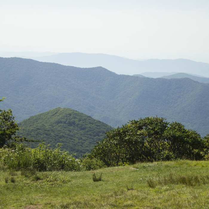 Near Pinnacle Hike at Craggy Gardens Near Pinnacle Hike at Craggy Gardens