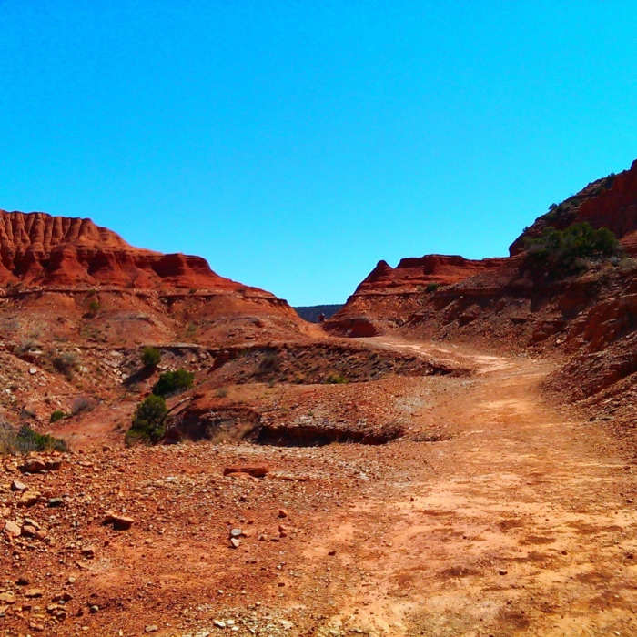 Canyon Loop Trail passing through the canyon Near Haynes Ridge - Fern Cave Loop