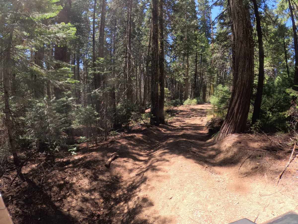 Insipid - 22E261 trail photo