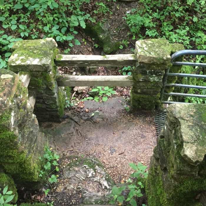 Near Greer Spring Trail